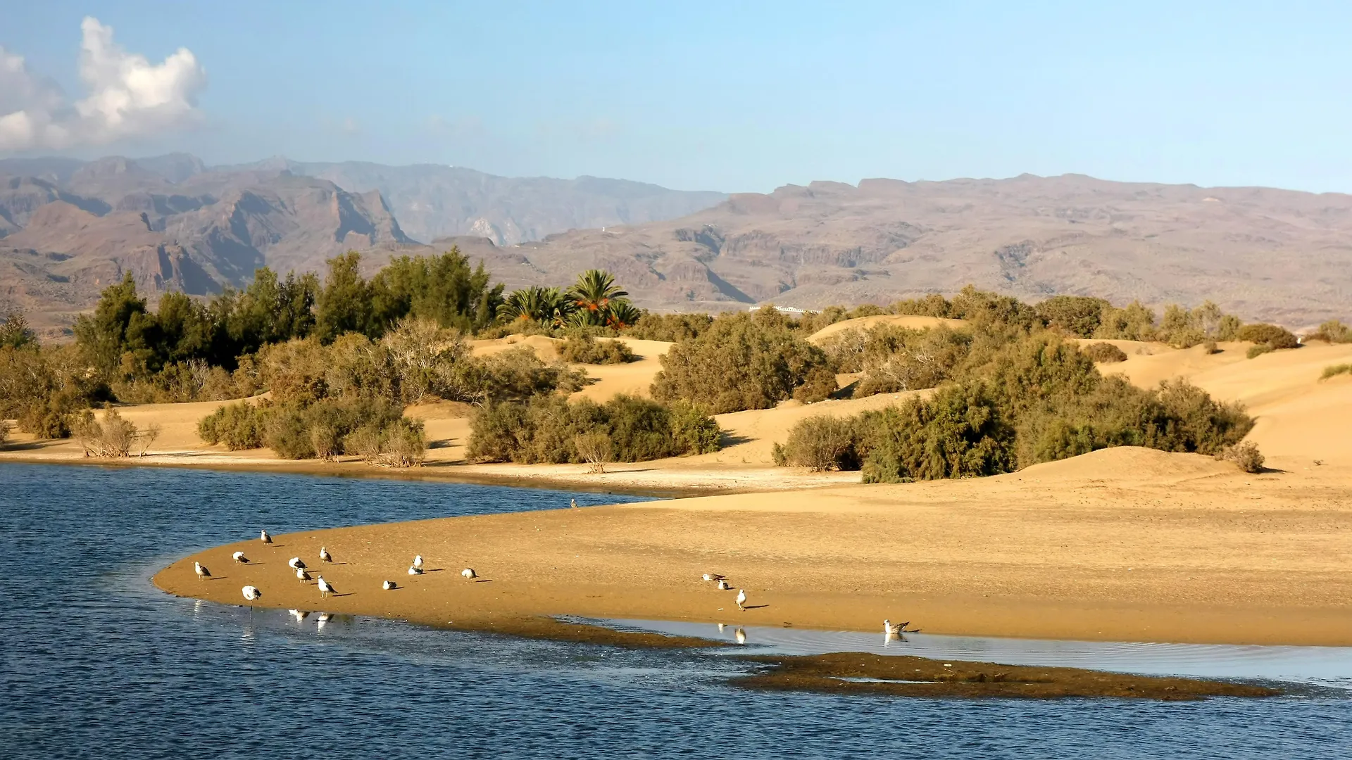 *** Rezort Bungalows Vistaflor Maspalomas  Španělsko