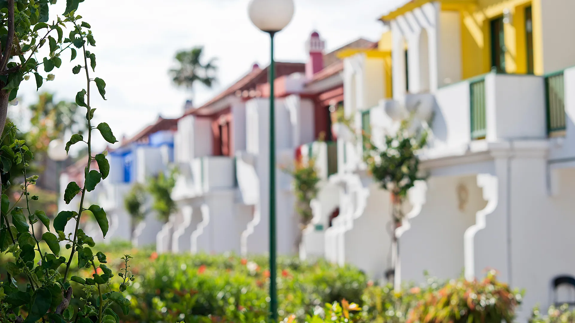 Üdülőközpont Bungalows Vistaflor Maspalomas